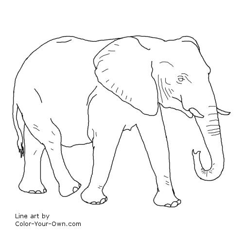 African Elephant Walking Line Art