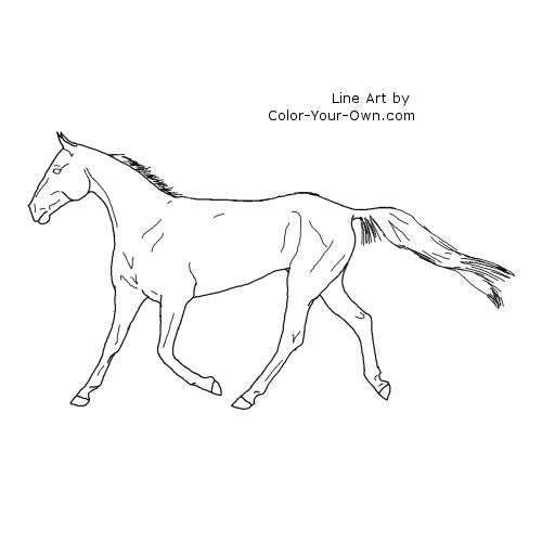 Akhal Teke Trotting Mare Line Art