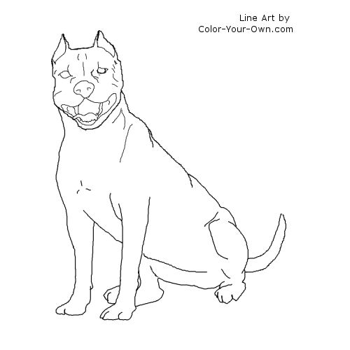 American Staffordshire Terrier Line Art