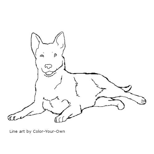 Australian Cattle Dog Line Art