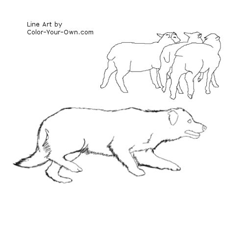 Border Collie Herding Sheep Line Art