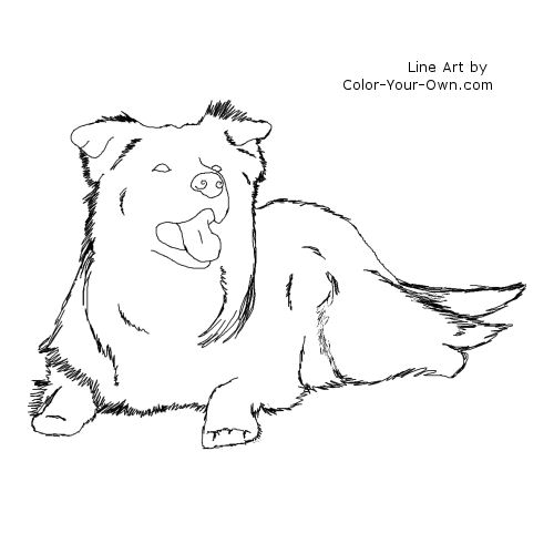 Border Collie Lying Down Line Art