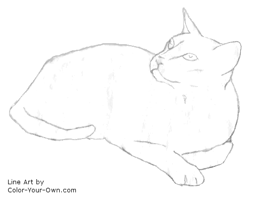 Oriental Cat looking sweet line art