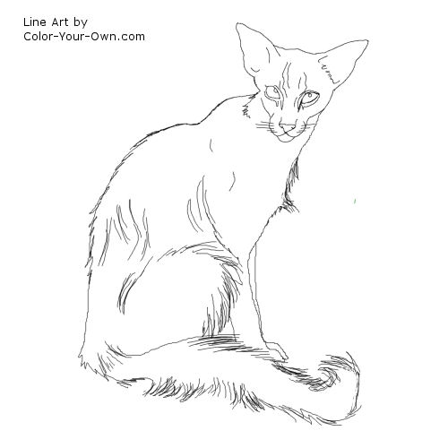 Javanese Cat line art