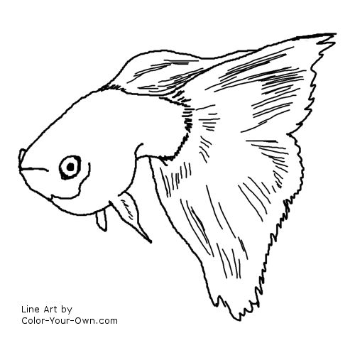 Freshwater Aquarium Deluxe Guppy Line Art