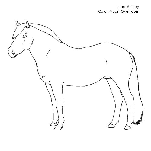 Norweigan Fjord horse line art