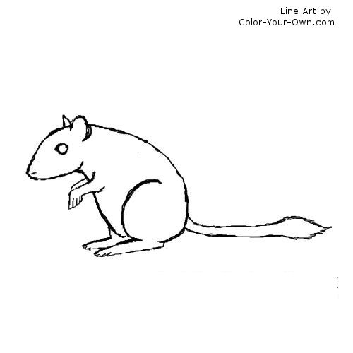 gerbil line art