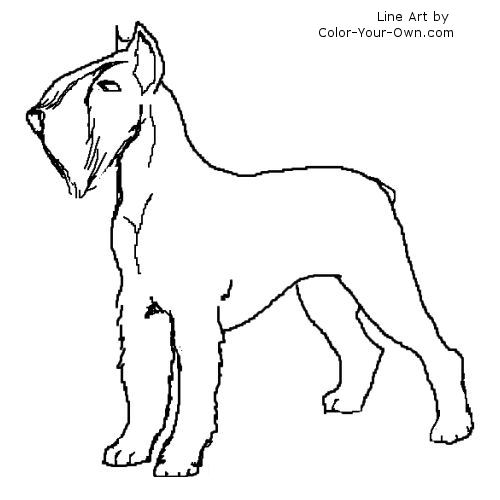 Giant Schnauzer Terrier Line Art