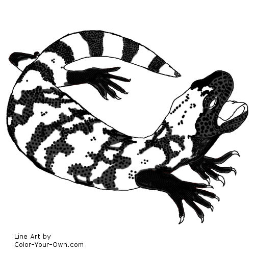 Gila Monster Line Art