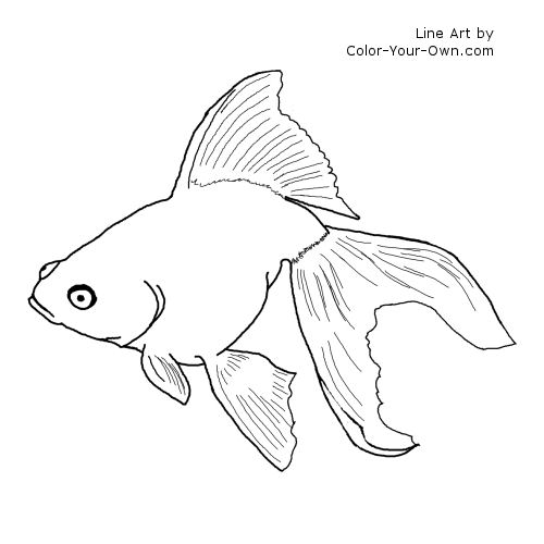 Goldfish Line Art