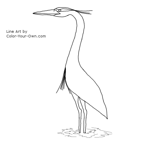 Great Blue Heron Line Art