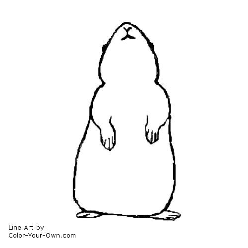 guinea pig standing line art