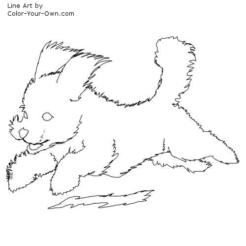 Bichon Frise Puppy Line Art