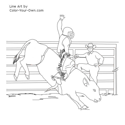 Miniature Bucking Bull Line Art