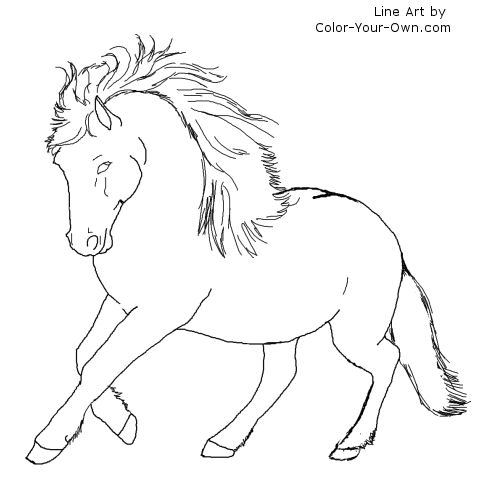 Newfoundland Pony Line Art