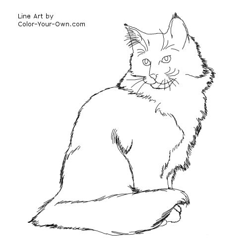 Norweigan Forest Cat Line Art