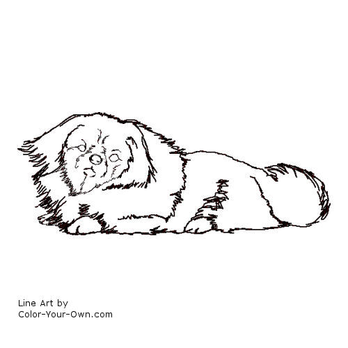 Pekinese dog line art