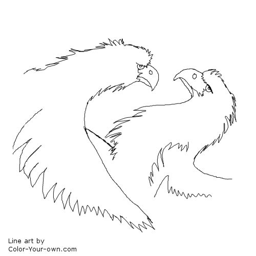 Eagle Wild Bird Line Art