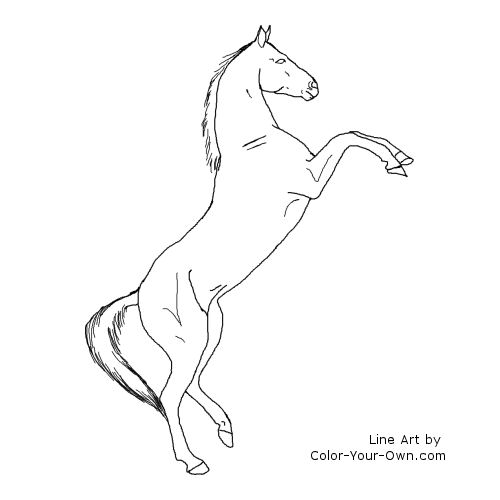 Akhal Teke Horse Rearing Line Art