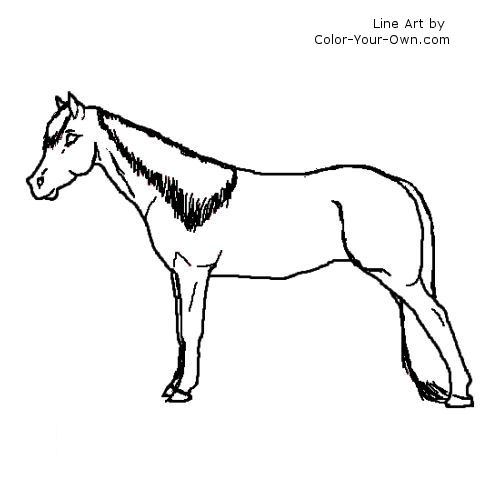 Tennessee Walker Mare line art