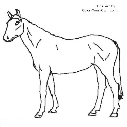 Warmblood Mare Line Art